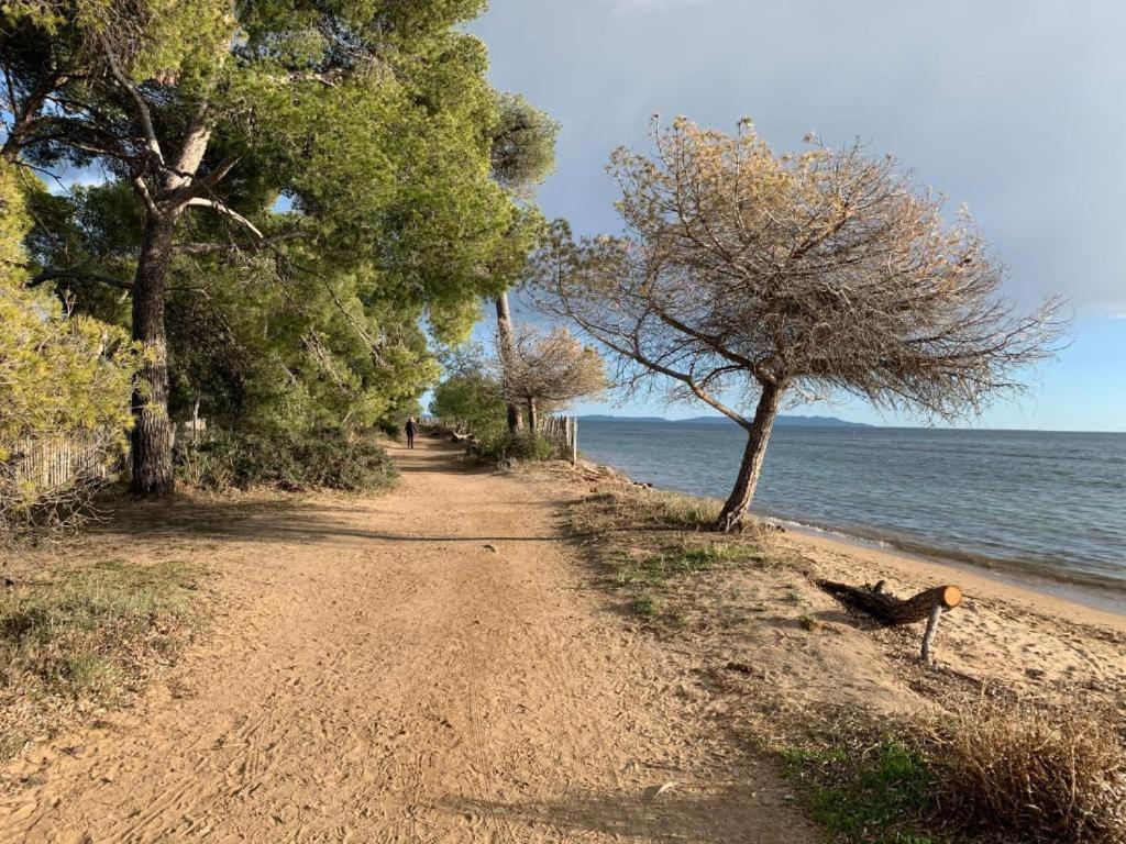 Joli T2 Proche Plage Dans Residence La Londe-les-Maures Dış mekan fotoğraf